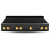 48″ Induction Cooktop – ORION Edition