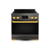 30″ Professional Induction Range – ORION Edition