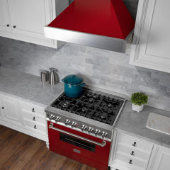 48" Snow Finish Range Hood with Red Gloss Shell