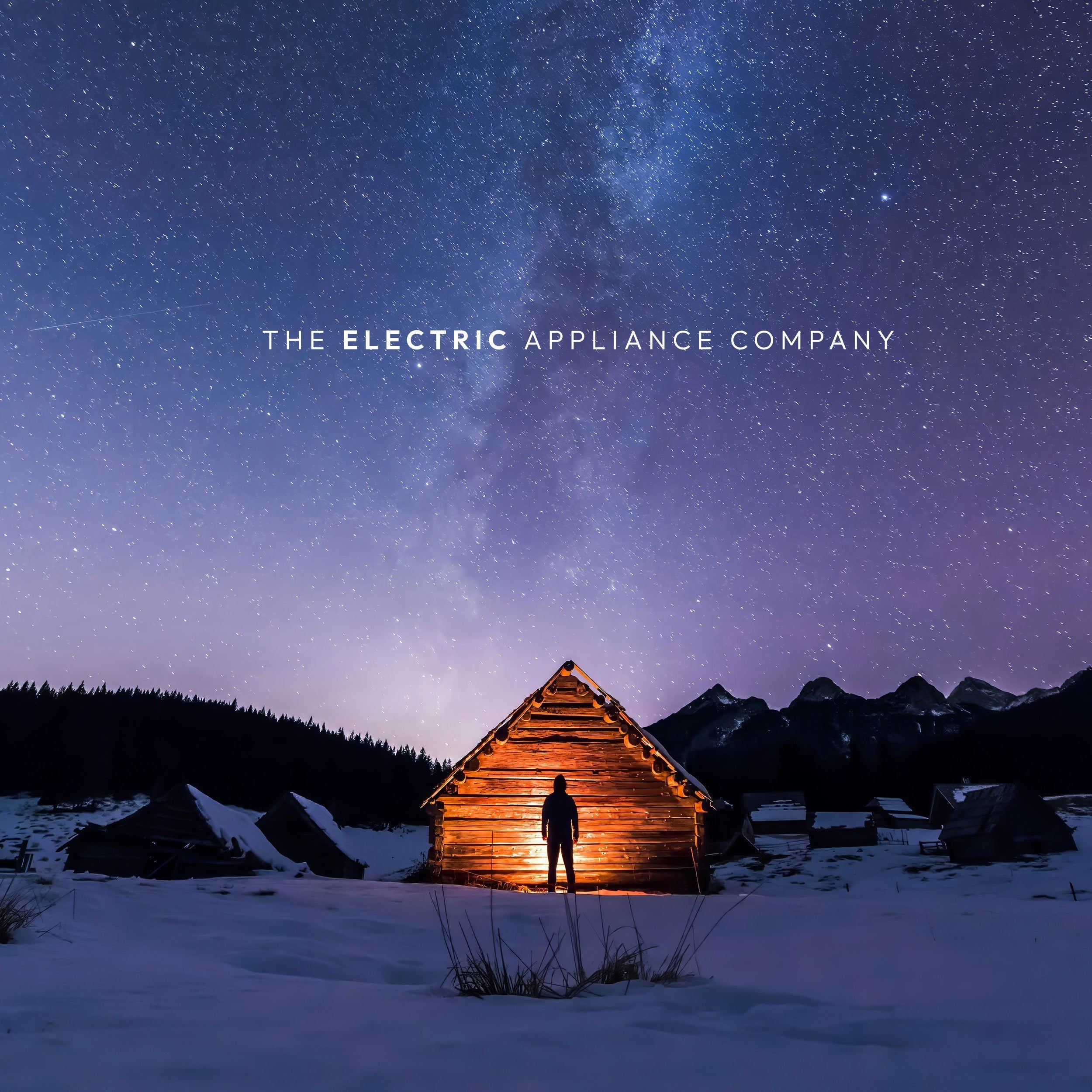 30" Refrigerator Built-In Column with Water Dispenser – VEGA Edition